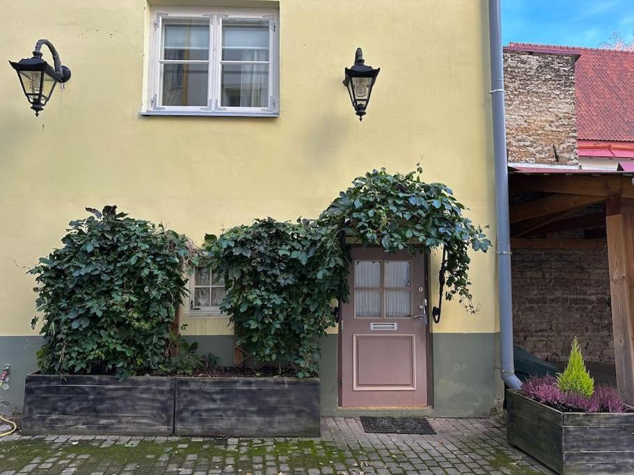 Apartment Cozy & Unique In Old Town